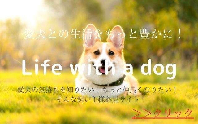犬との生活