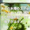 メダカ水槽のエアレーションはやり過ぎると問題が起こる？強すぎはダメ？